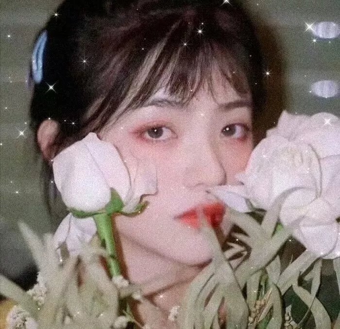 羔羊大律师
